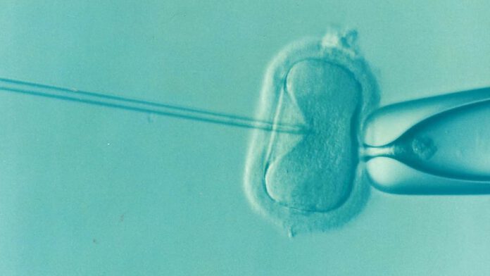 ivf success
